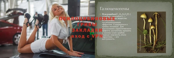 стафф Абдулино