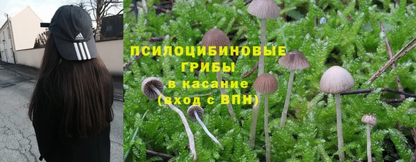 стафф Абдулино